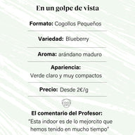 Cogollos Pequeños de Flor Aromática de CBD al 5,75%- La Cordobesa Blueberry