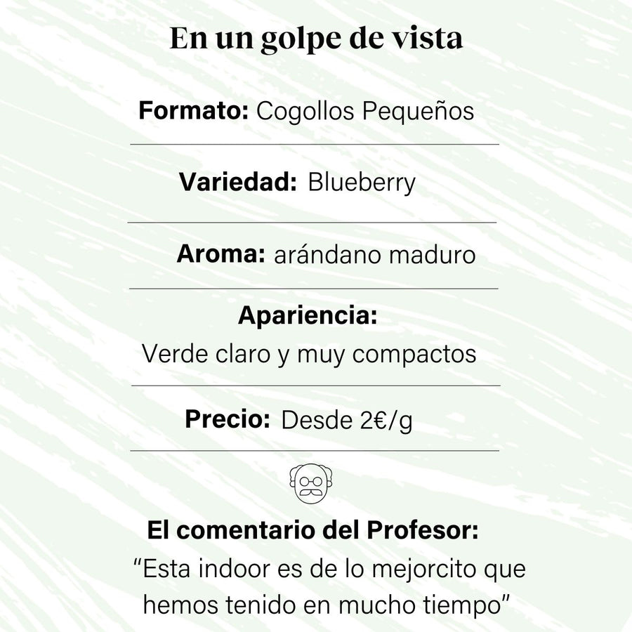 Cogollos Pequeños de Flor Aromática de CBD al 5,75%- La Cordobesa Blueberry