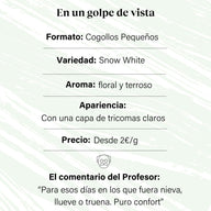 Cogollos Pequeños de Flor Aromática de CBD al 5,58% - La Cordobesa Snow White