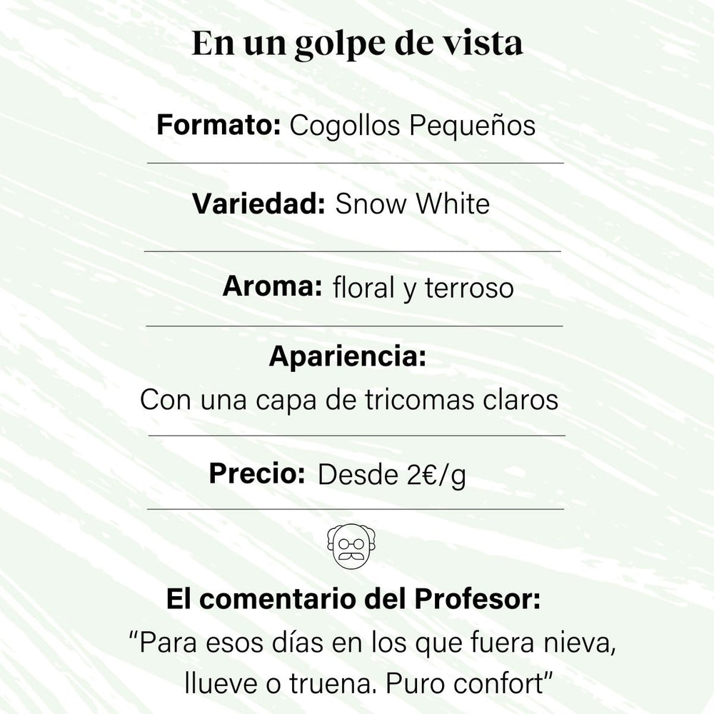 Cogollos Pequeños de Flor Aromática de CBD al 5,58% - La Cordobesa Snow White