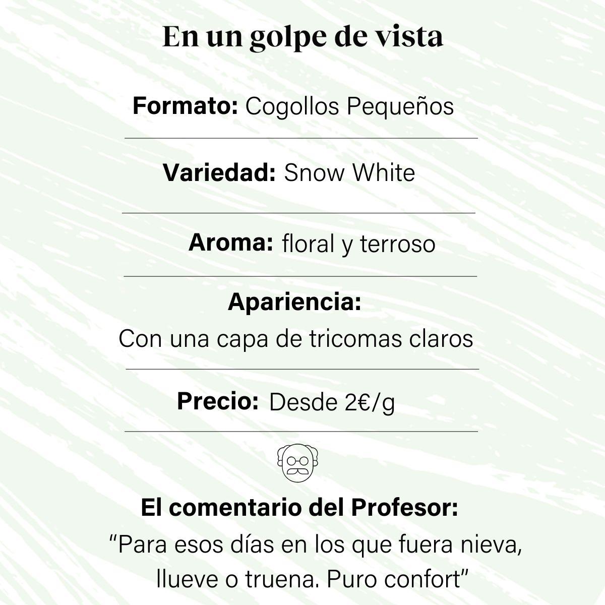 Cogollos Pequeños de Flor Aromática de CBD al 5,58% - La Cordobesa Snow White