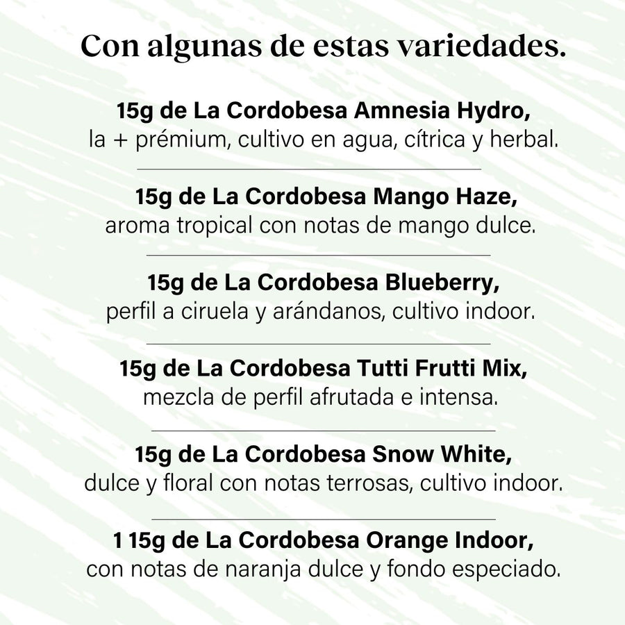 Pack 90g Cogollos Pequeños Genéticas Variadas Prémium - Pruébalo Todo Hydroponic Tamaño Superior