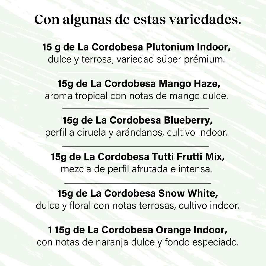 Pack 90g Cogollos Pequeños Genéticas Variadas Prémium - Verde Súper Verde