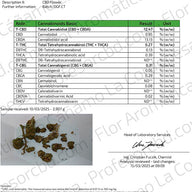 Cogollos Pequeños de Flor Aromática de CBD - La Cordobesa Cannatonic