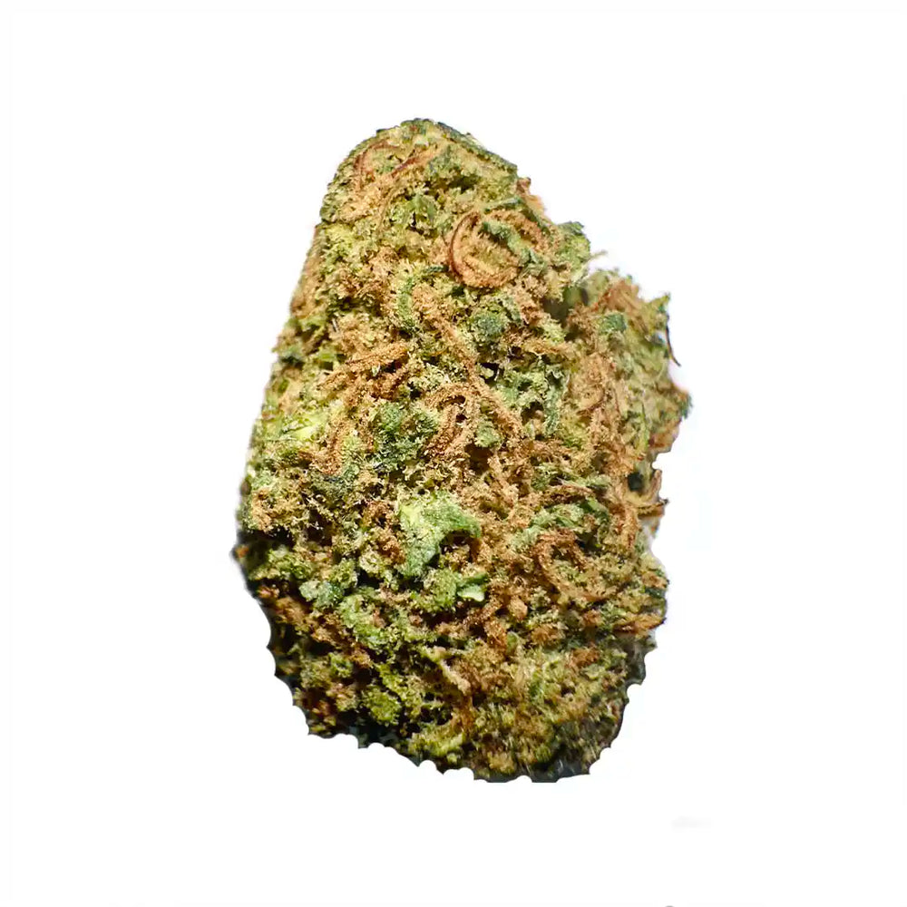Cogollos Pequeños de Flor Aromática de CBD al 11,52% - La Cordobesa Orange Indoor