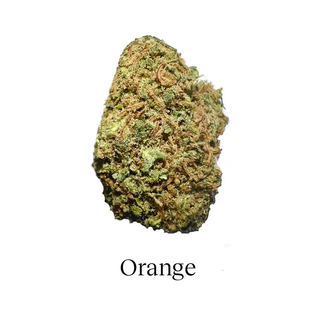 Pacote 90g Small Buds Variedade Genética - Try Everything Plus