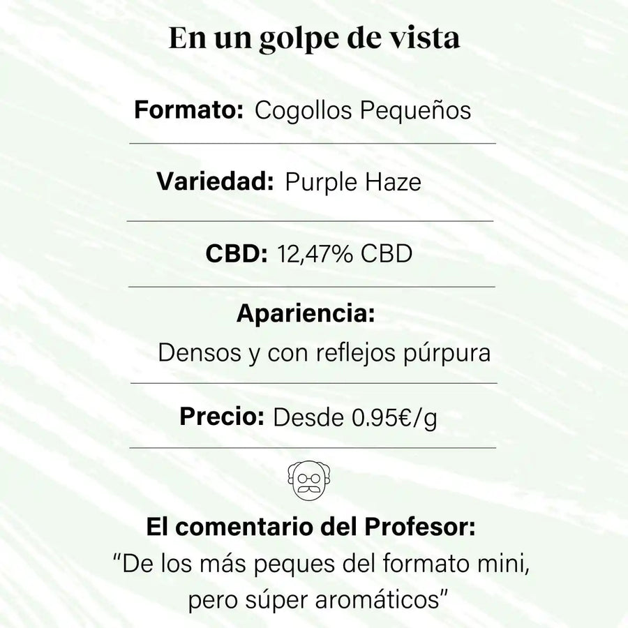 Cogollos Pequeños de Flor Aromática de CBD al 12,47% - La Cordobesa Purple Haze