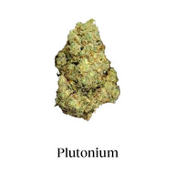 Packung 90g Small Buds Variety Genetics - Taste Everything Plus