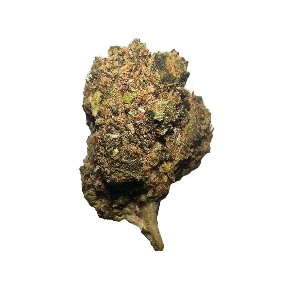 Pequenos botões de 12,47% CBD Aromatic Flower - La Cordobesa Purple Haze