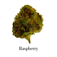 Confezione 90g di gemme piccole Genetica mista - Prova tutto Plus