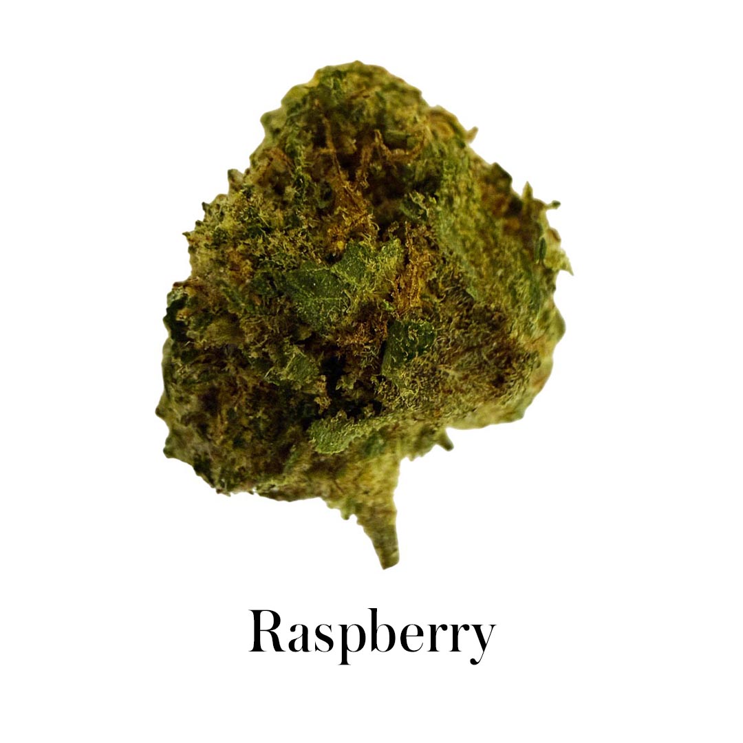 Confezione 90g di gemme piccole Genetica mista - Prova tutto Plus