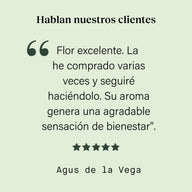 Cogollo de Flor Aromática de CBD Indoor al 23,58% · La Cordobesa Súper Limonera (Lemon Haze)