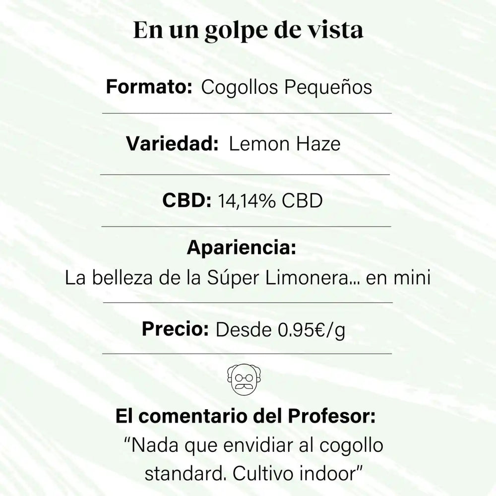 Pequenos botões de 14,14% CBD Aromatic Flower - La Cordobesa Super Lemon
