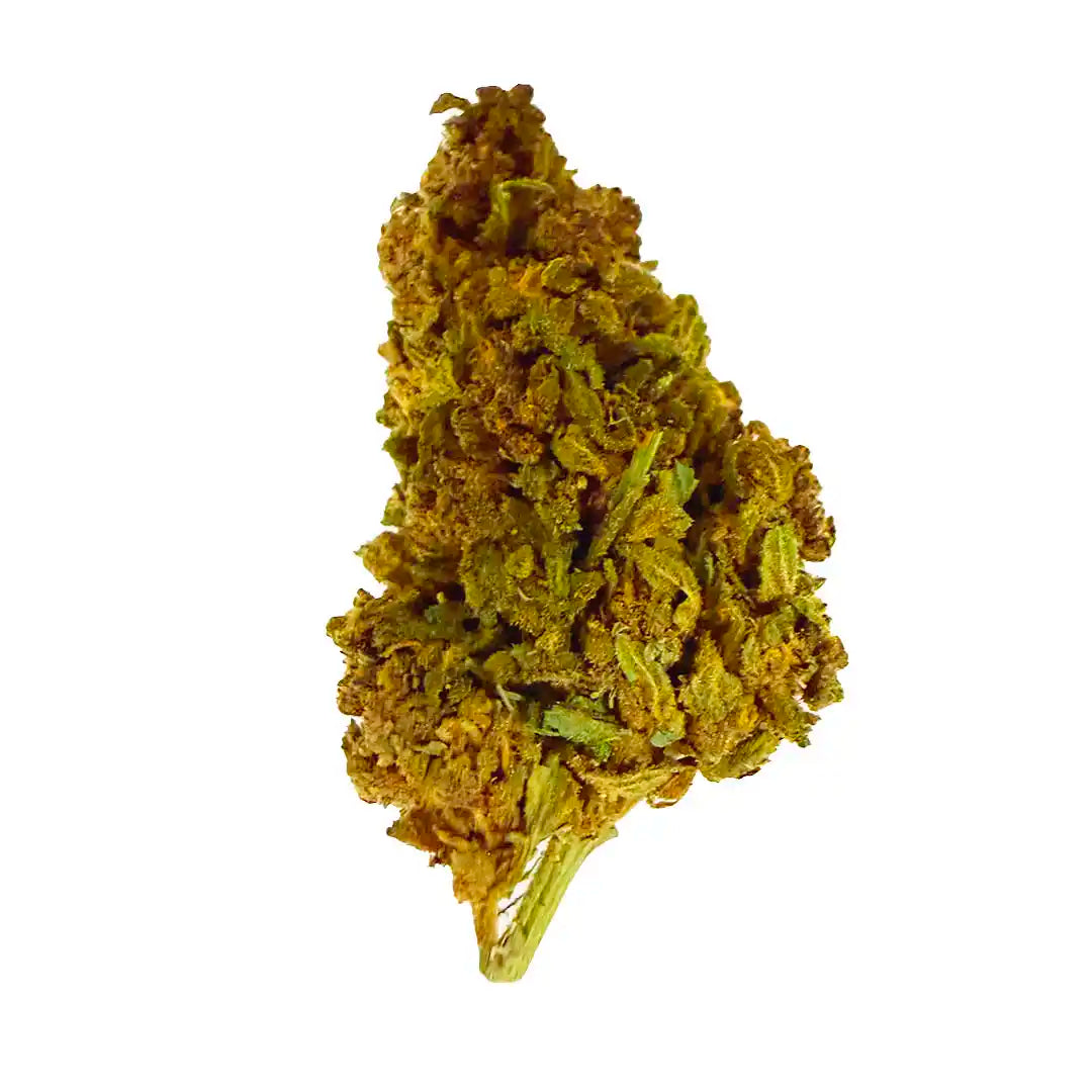 Cogollos Pequeños de Flor Aromática de CBD al 5,58% - La Cordobesa Snow White