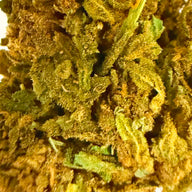 Cogollos Pequeños de Flor Aromática de CBD al 5,58% - La Cordobesa Snow White