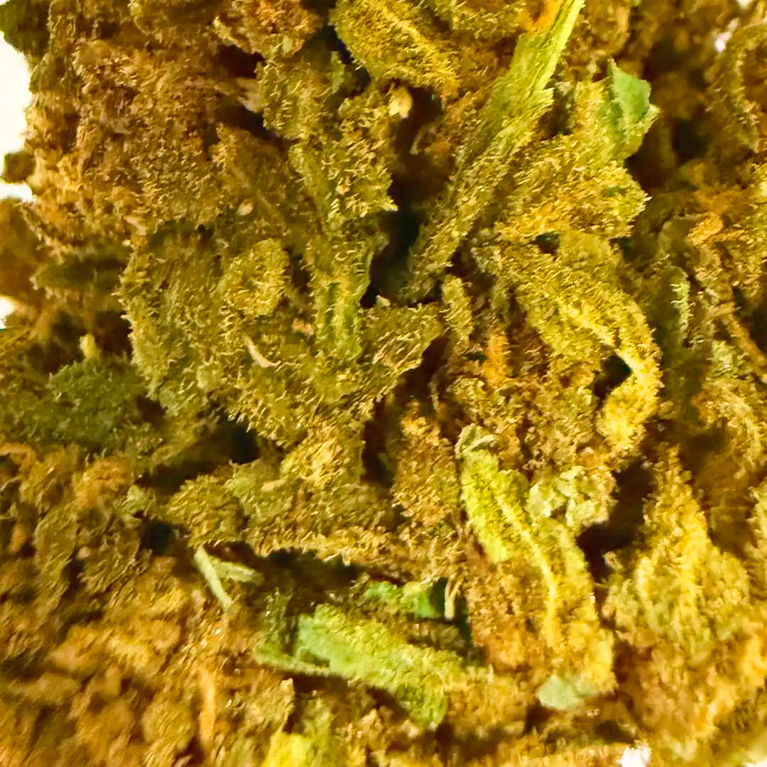 Cogollos Pequeños de Flor Aromática de CBD al 5,58% - La Cordobesa Snow White