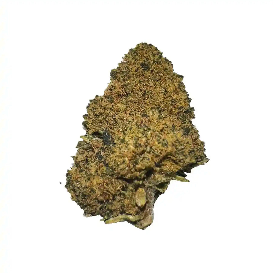 Cogollos Pequeños de Flor Aromática de CBD al 3,15% - La Cordobesa Sour Diesel