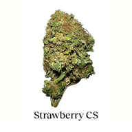 Packung 90g Small Buds Variety Genetics - Taste Everything Plus