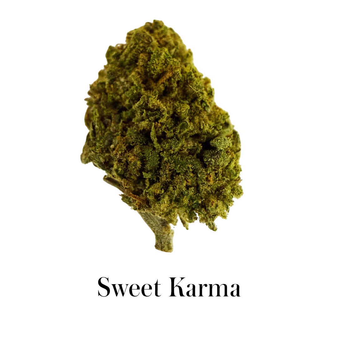 Pacote 60g Brotos Pequenos Experimente Tudo - Genética Variada