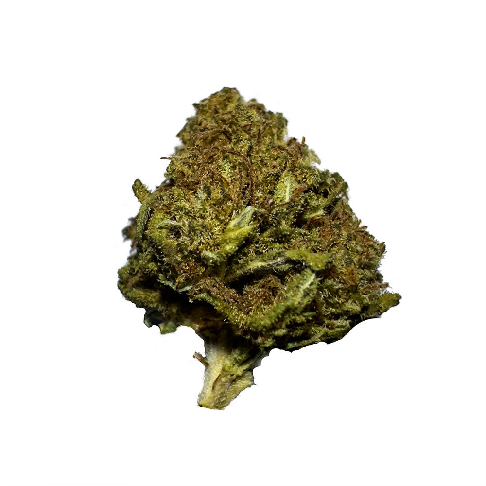 Pequenos botões de flor aromática CBD - La Cordobesa Therapy Greenhouse