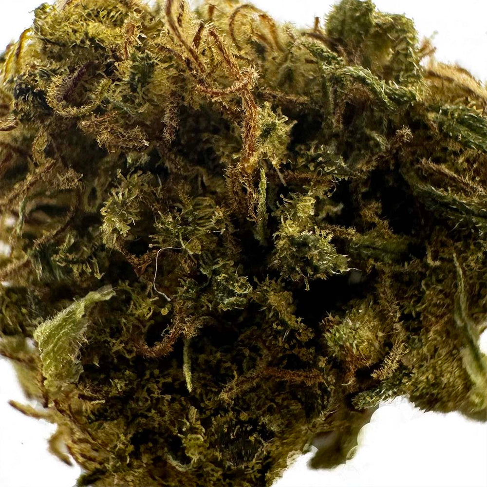 Pequenos botões de flor aromática CBD - La Cordobesa Therapy Greenhouse