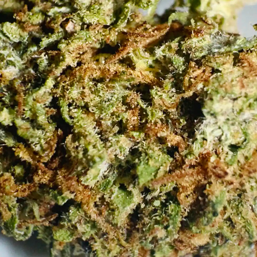 Cogollos Pequeños de Flor Aromática de CBD - La Cordobesa Tutti Frutti Mix