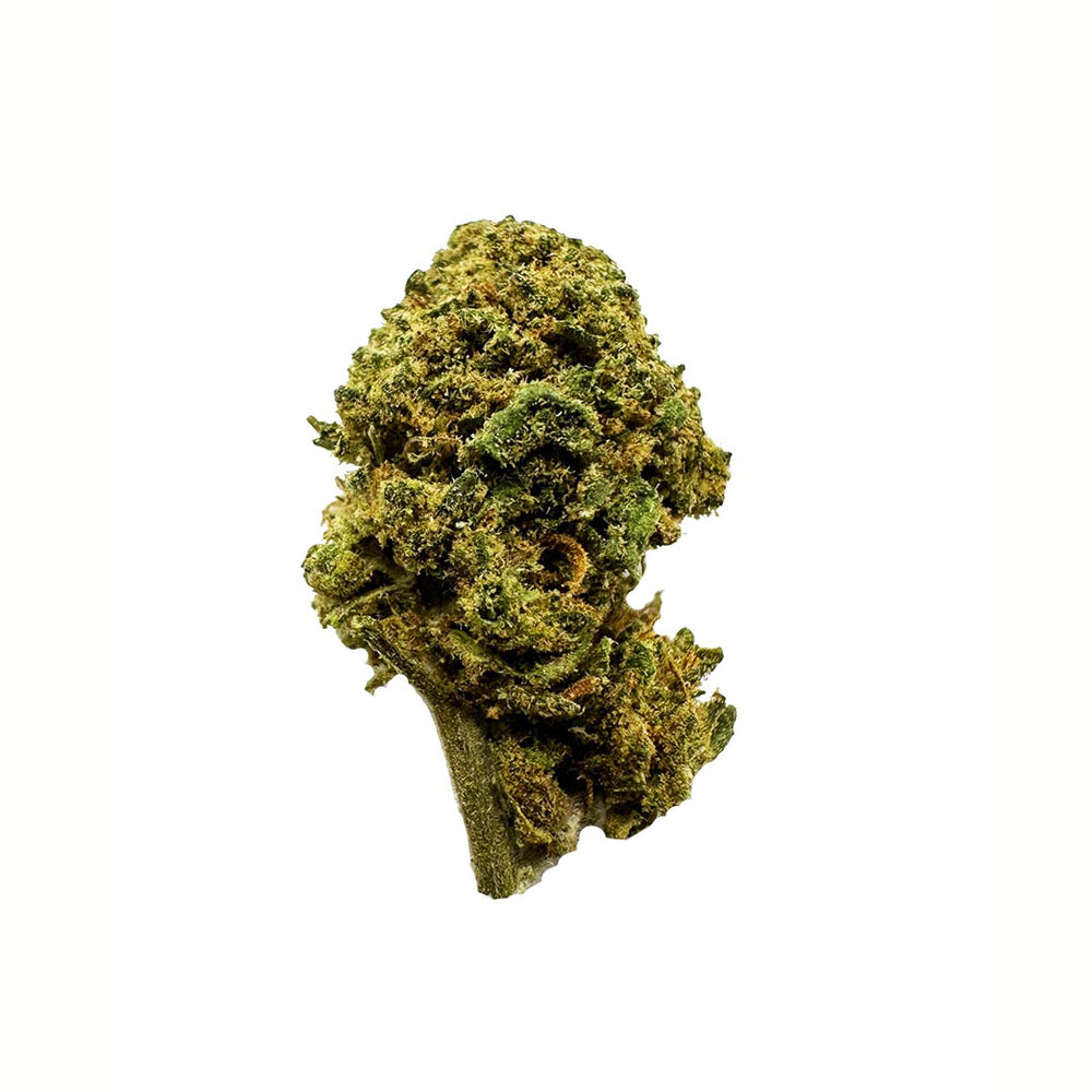 Pequenos botões de flor aromática CBD - La Cordobesa Zkittlez Indoor