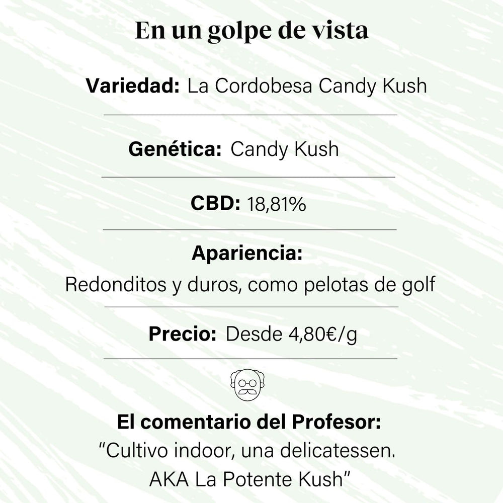 Flor em botão aromático CBD interno a 18,81% · La Cordobesa Candy Kush