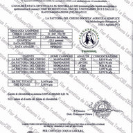Cogollo de Flor Aromática de CBD al 4,23% · La Generosa Tradicional